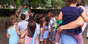 Excursiones Aventuras en Sevilla planes con niños en Sevilla que hacer con niños en Sevilla visitas teatralizadas